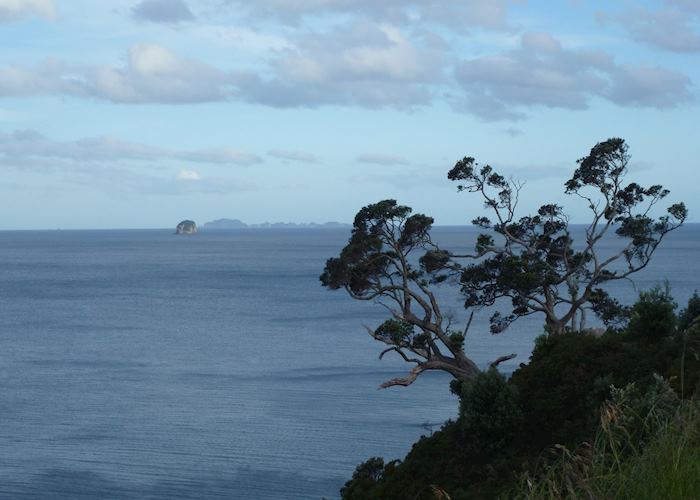 View from Te Pare Reserve, Hahei, Coromandel Peninsula,New Zealand