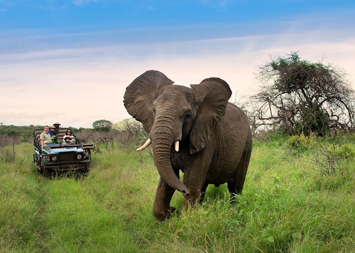 Game viewing on the Phinda Reserve