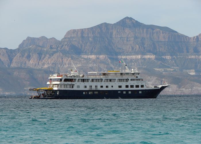 Safari Endeavour, Baja California