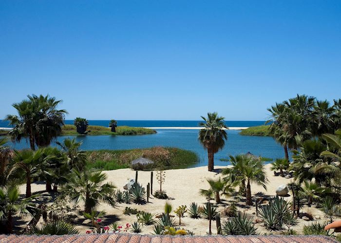 View from Posada La Poza, Todos Santos