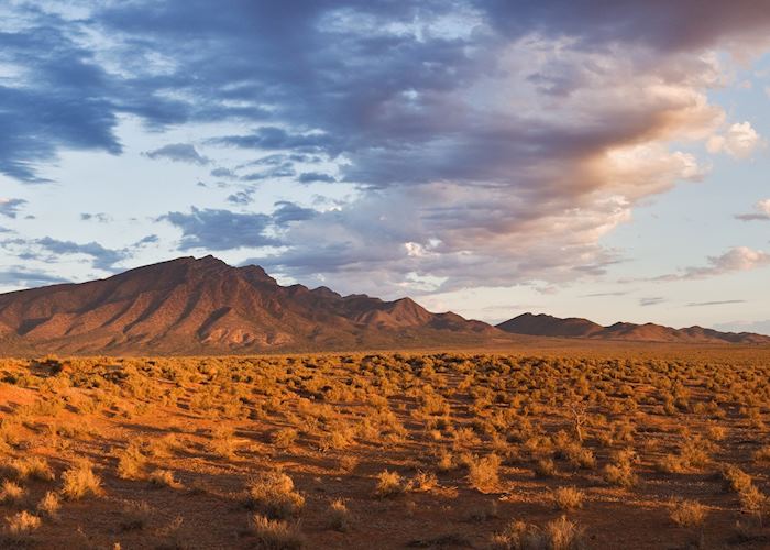 The Flinders Ranges