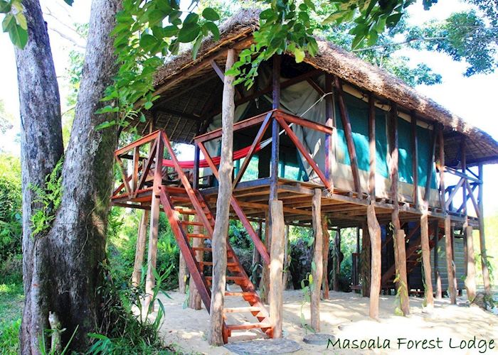 Masoala Forest Lodge, Masoala National Park