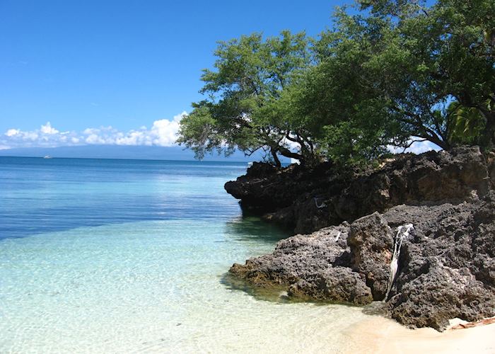 Beach, Coco Grove Beach Resort, Siquijor