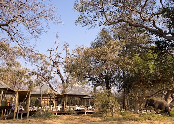 Xaranna Tented Camp, Xudum Concession