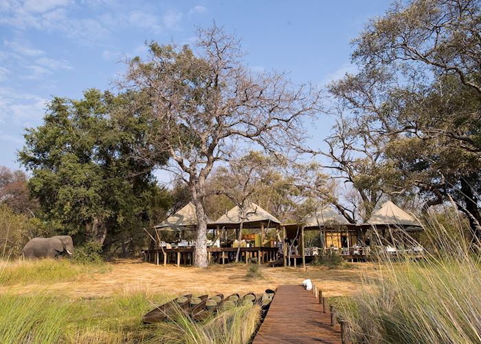 Xaranna Tented Camp, Xudum Concession