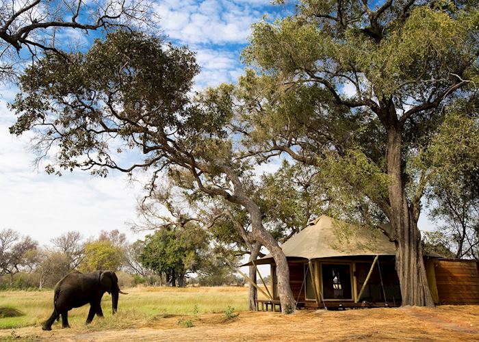 Xaranna Tented Camp, Xudum Concession