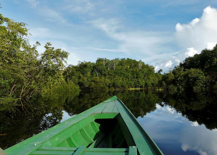 Travelling through the Amazon Rainforest