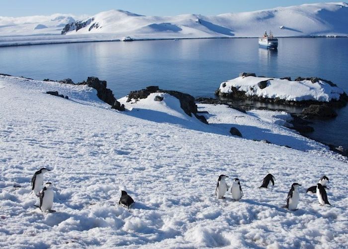 Antarctic Peninsula cruise | Audley Travel