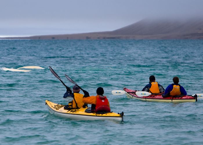 Kayaking with beluga whales, Arctic Watch Wilderness Lodge
