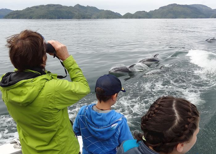 Watching dolphins from Nimmo Bay Wilderness Resort