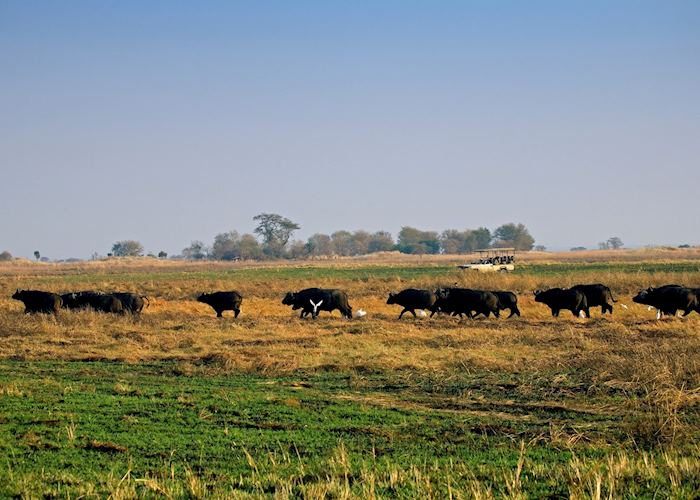 Game viewing on the Busanga Plains, Kafue National Park