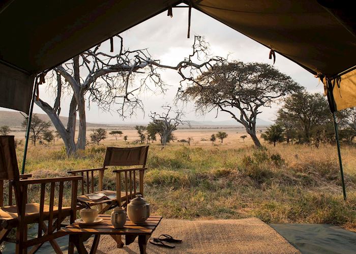 Nomad Serengeti Safari Camp, Serengeti National Park