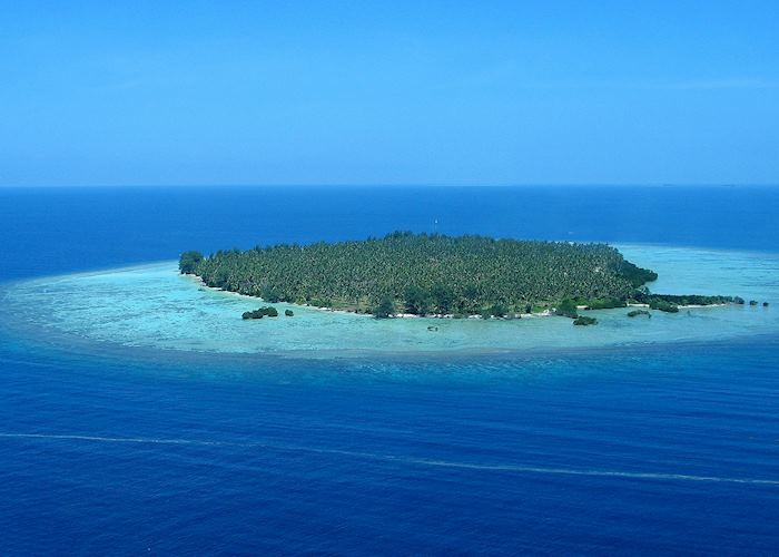 Aerial View, Kura Kura