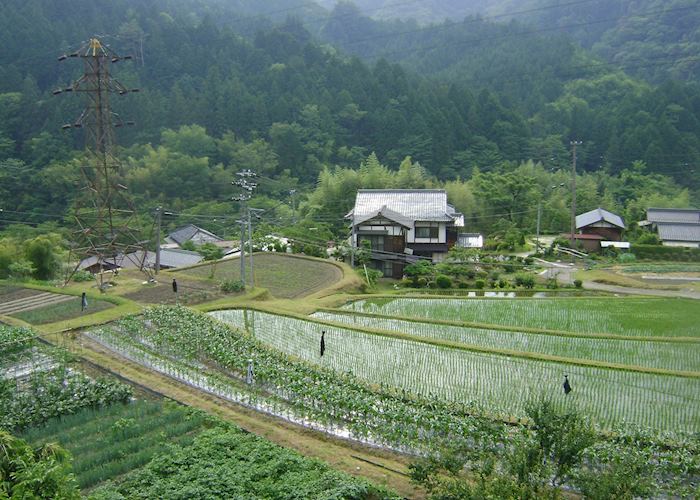 View of surrounding countryside, Daikichi, Tsumago