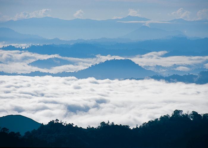 Misty mountains in Kinabalu National Park, Sabah