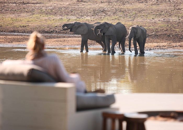 Watching elephants from Chinzombo Camp, South Luangwa National Park