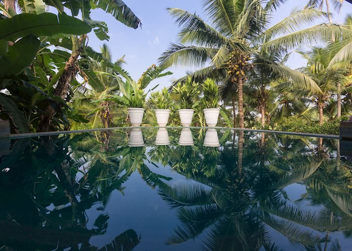 Pool with jungle backdrop