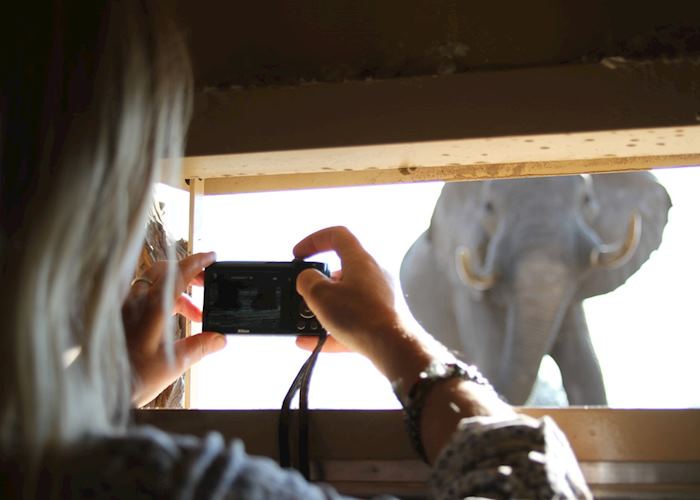 'Look Up' Hide, Camelthorn Lodge, Hwange National Park