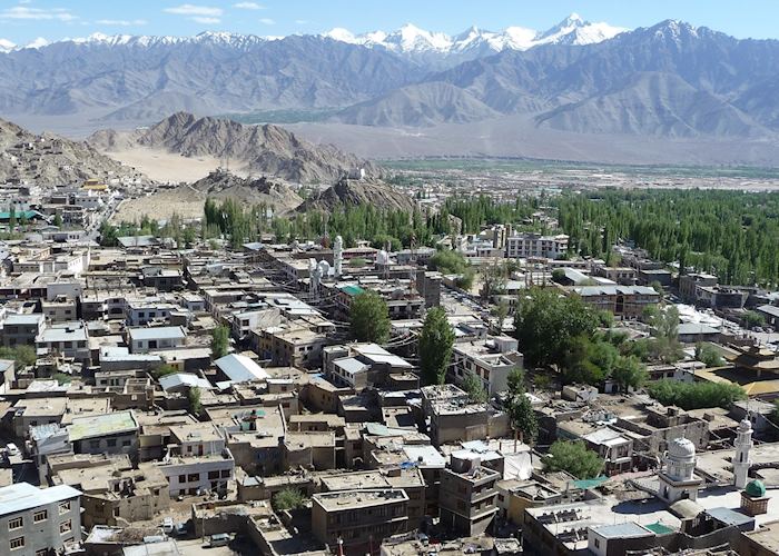 View of Leh from Leh Palace