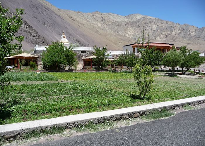 Uley Ethnic Resort,Alchi