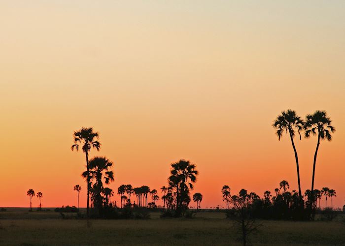 Visit Makgadikgadi Pans, Botswana | Tailor-Made Trips | Audley Travel UK