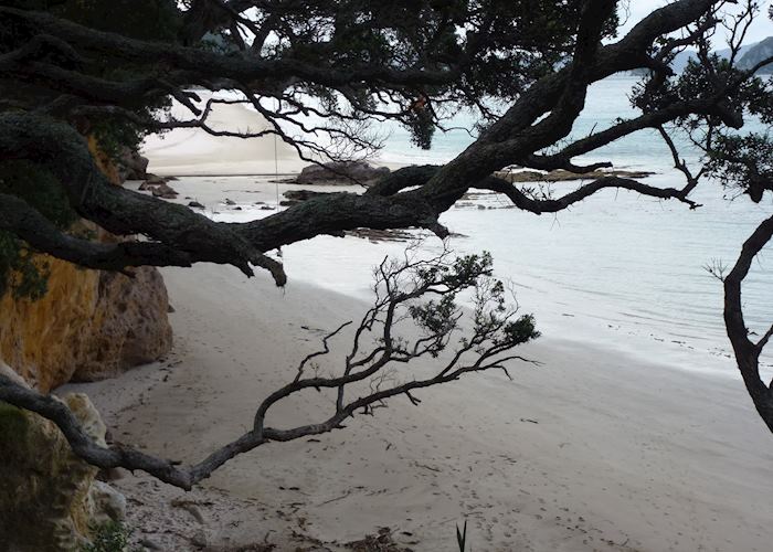 HaHei Beach, Coromandel, New Zealand