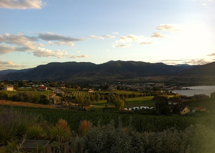 Poplar Grove Winery, Naramata (Okanagan Valley)