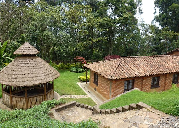 Gisakura Guest House,Nyungwe Forest National Park