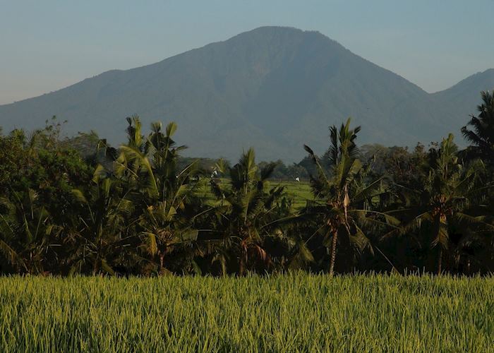 Ubud area,Indonesia