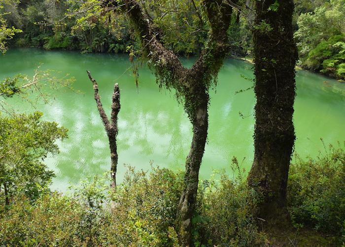Laguna Verde, Puerto Varas