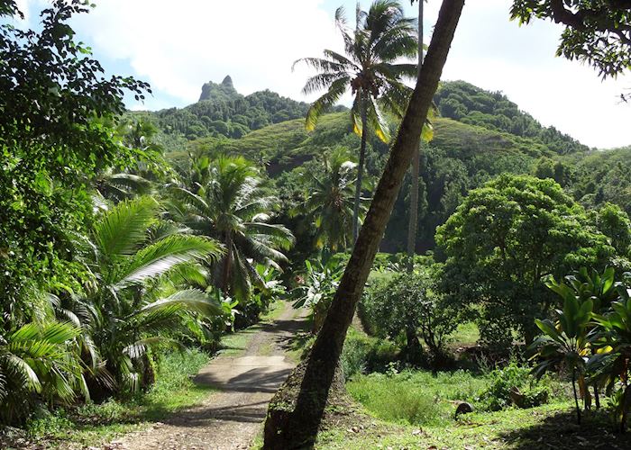 Cross Island Trek with Pa, Rarotonga