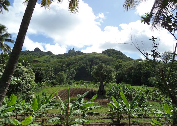 Cross Island Trek with Pa, Rarotonga