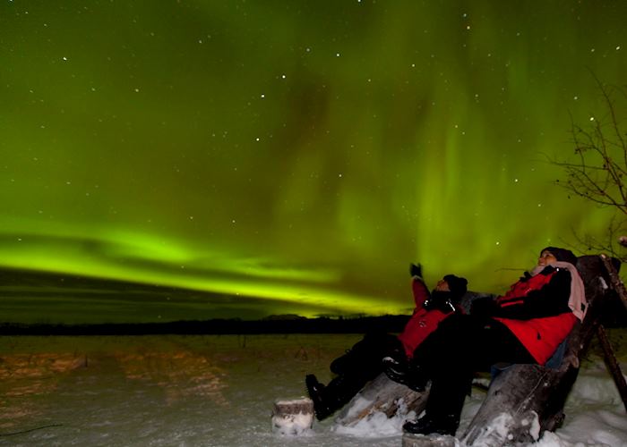 The Yukon night sky
