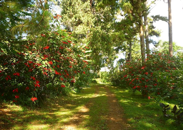 Zomba Forest Lodge, Zomba