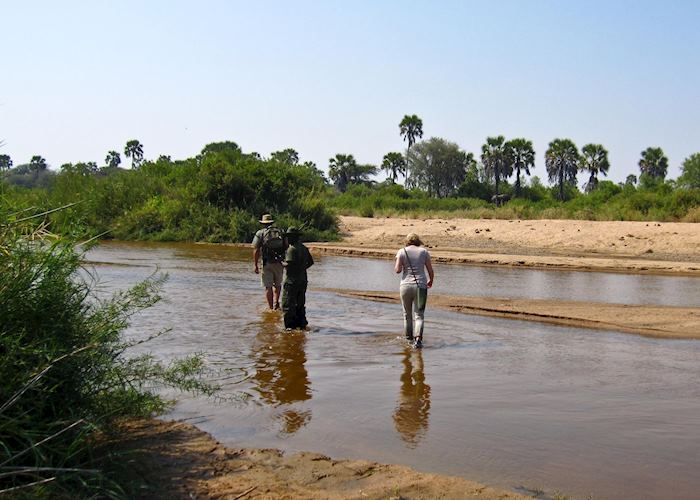 Walking safari with Kichaka Expeditions, Ruaha National Park
