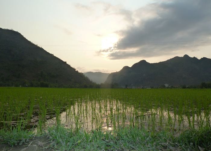 Valley view from rice paddy