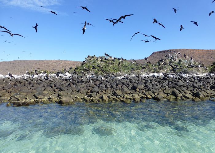 Isla Espiritu Santo, Baja California