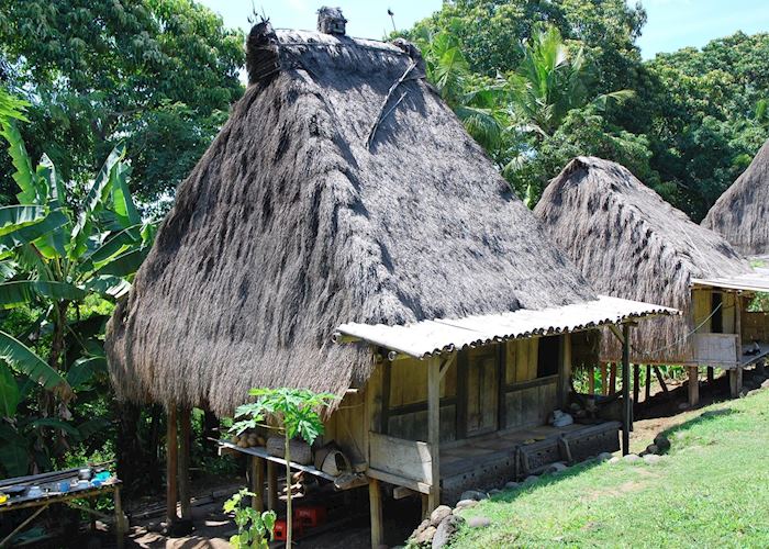 Belaraghi, Flores