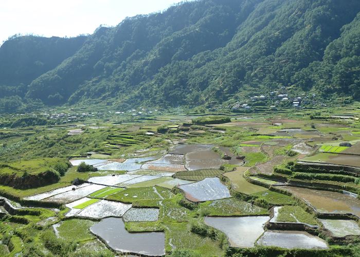 Masferré Country Inn,Sagada