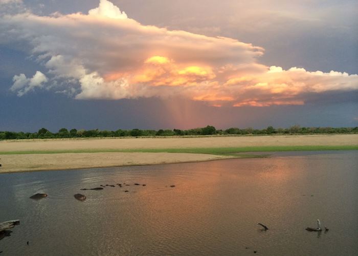 South Luangwa National Park, Zambia