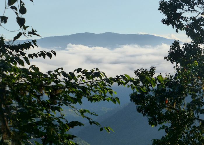 Cloudforest scenery, Ecuador