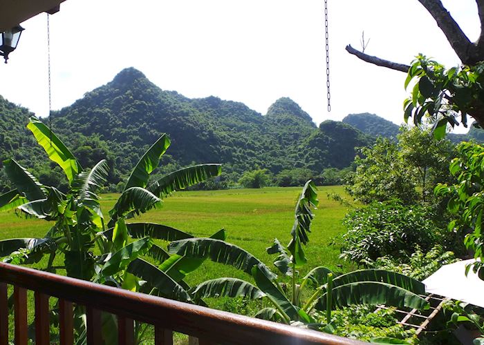 View of rice paddies at Tam Coc Garden