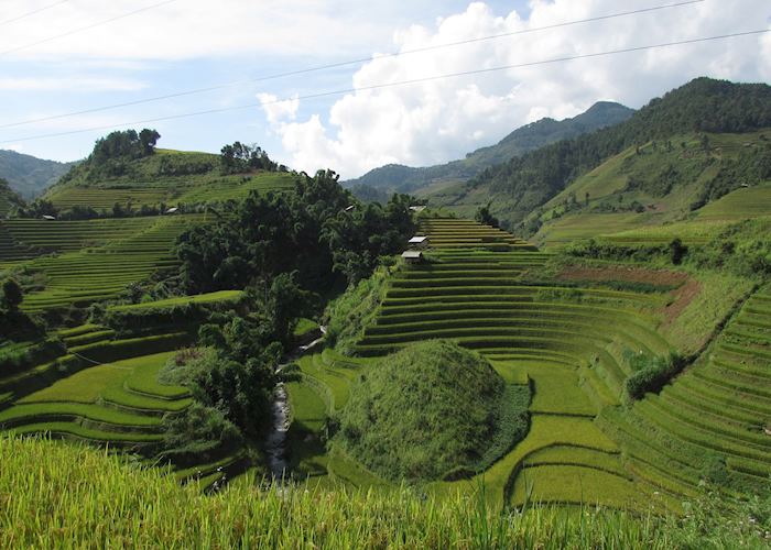 Rice terraces from the road to Mu Cang Chai, Sapa, Northern Vietnam