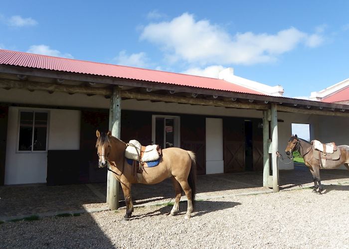 Stables, Estancia Vik, José Ignacio