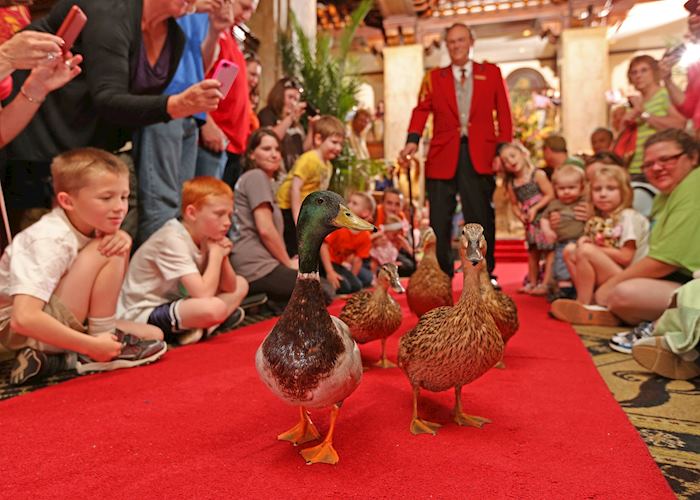 The Peabody Duck March, Memphis