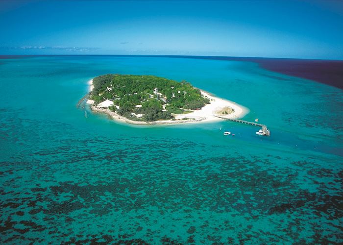 Visit Heron Island on a trip to Australia Audley Travel US