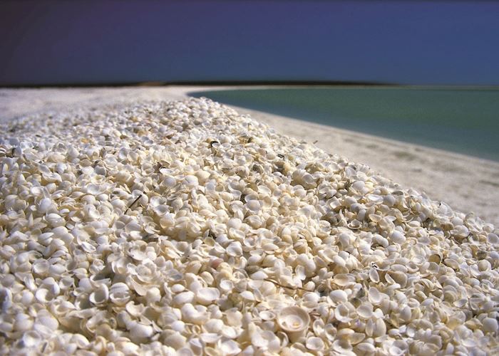 Shell Beach, Coral Bay