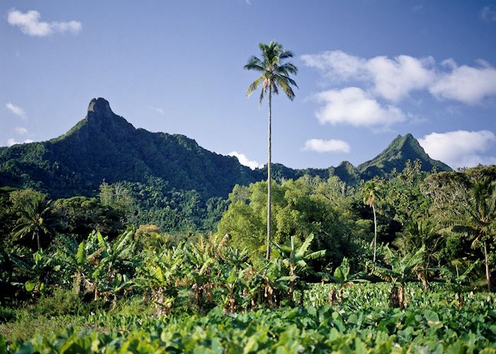 Rarotonga, The Cook Islands