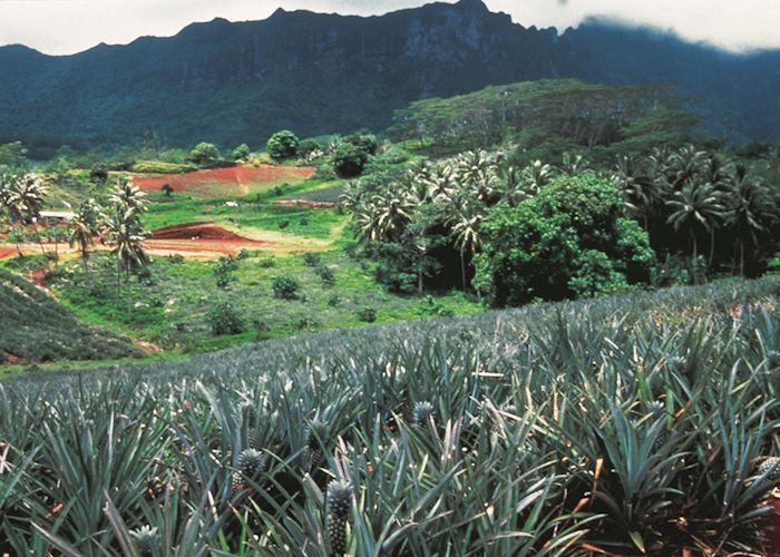 Safari Adventure, Moorea