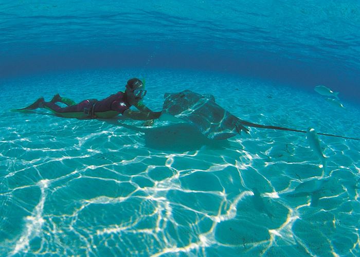Swimming with the sting rays, Moorea